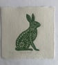 Spring Hare