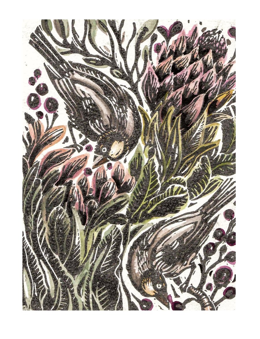 Proteas and Finches Hand Coloured Lino Cut Print.