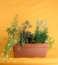 Handmade Willow Plant Labels, Rustic Garden Markers (Set of 8) - Image 3