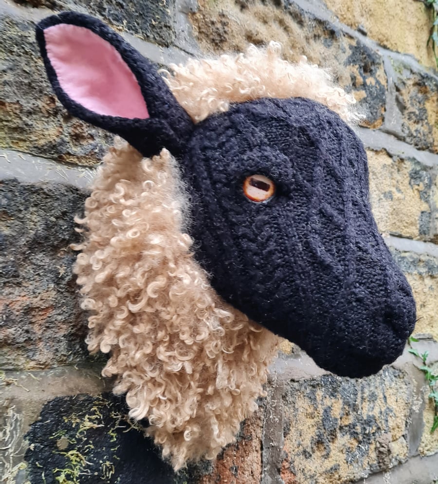 Faux black faced sheep head - Sherryl
