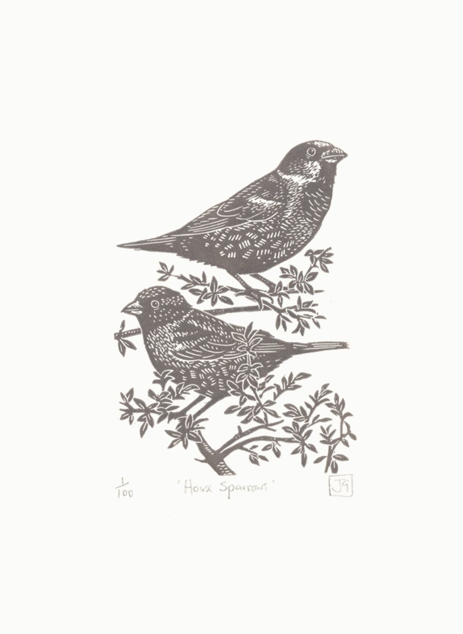 House Sparrows linocut print