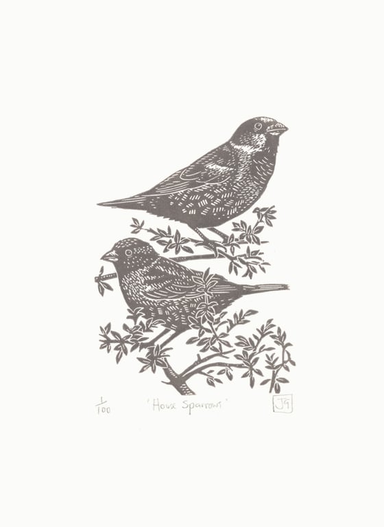 House Sparrows linocut print