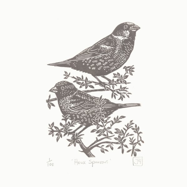 House Sparrows linocut print