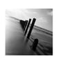 Groynes - Image 2