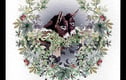 Christmas Cards and festive Gifts