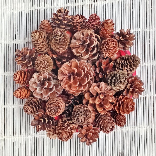 Small circular festive wreath for table, mantle or wall display