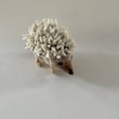 Cute hedgehog