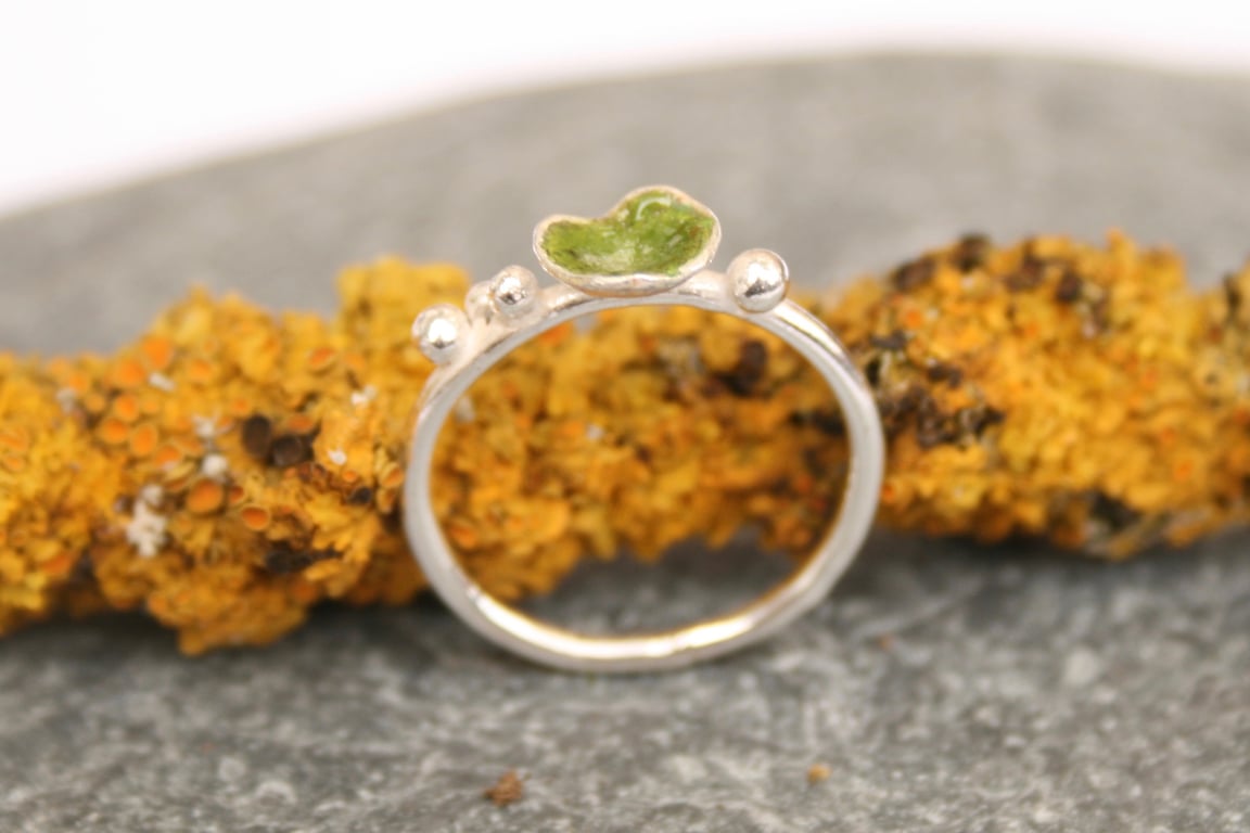 Silver and enamel ring, silver lichen ring, nature lover jewellery