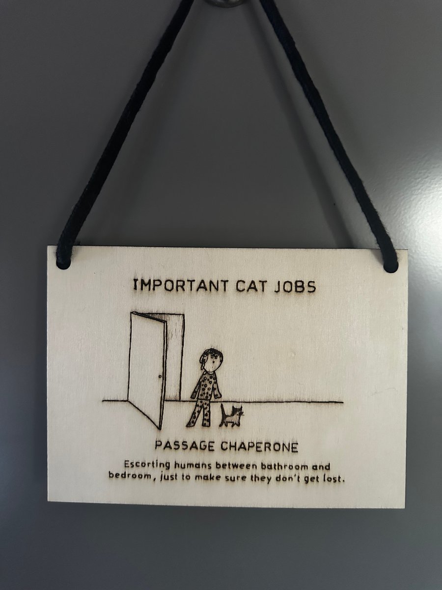 Cat Jobs Laser Etched Sign: Passage Chaperone