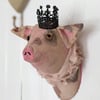 The Majestric little piggy handmade faux taxidermy