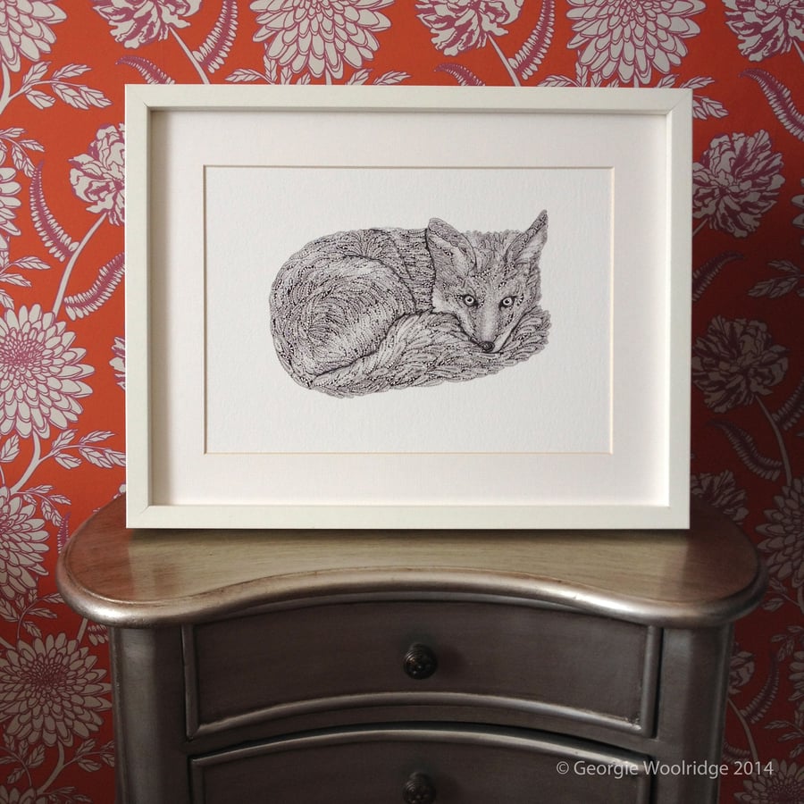 'Curled up Fox' A4 Giclee Print
