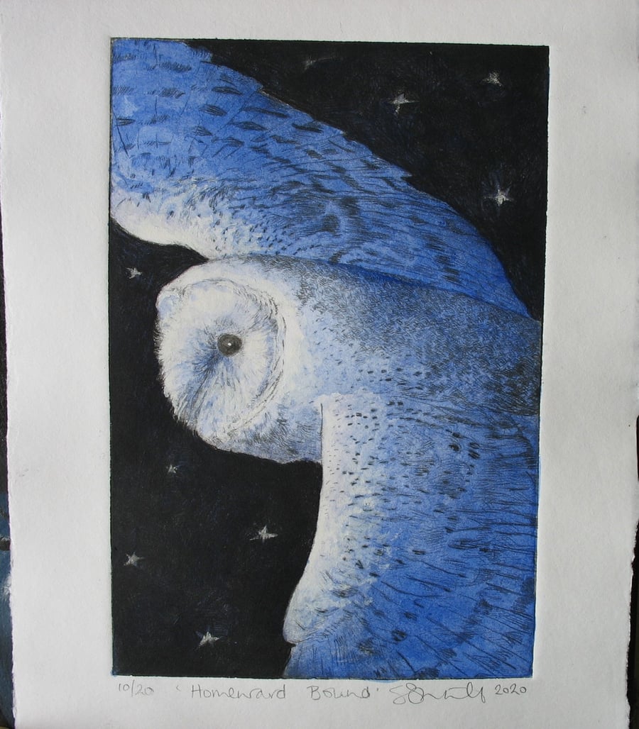 Beautiful barn owl limited edition etching 'Homeward Bound'