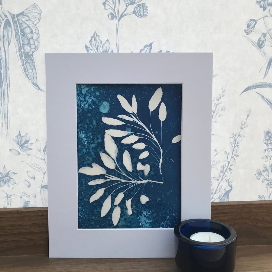 Botanical Gift, Artful Aromatics- Sage- Framed or Mounted