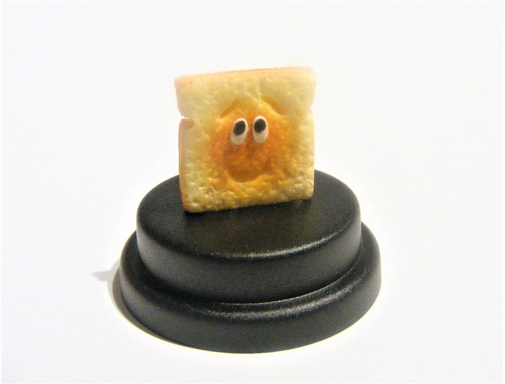 Pet Toast, Toast gift, Toasted bread gift, Toast lover, comedy gift