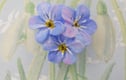 Forget-Me-Nots 