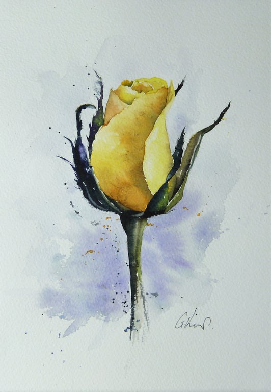 Rose, Original Watercolour Painting.