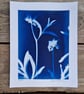 Cyanotype Botanical Print No.2 - Image 2