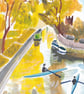 Canal life at Harrison Park - Image 3