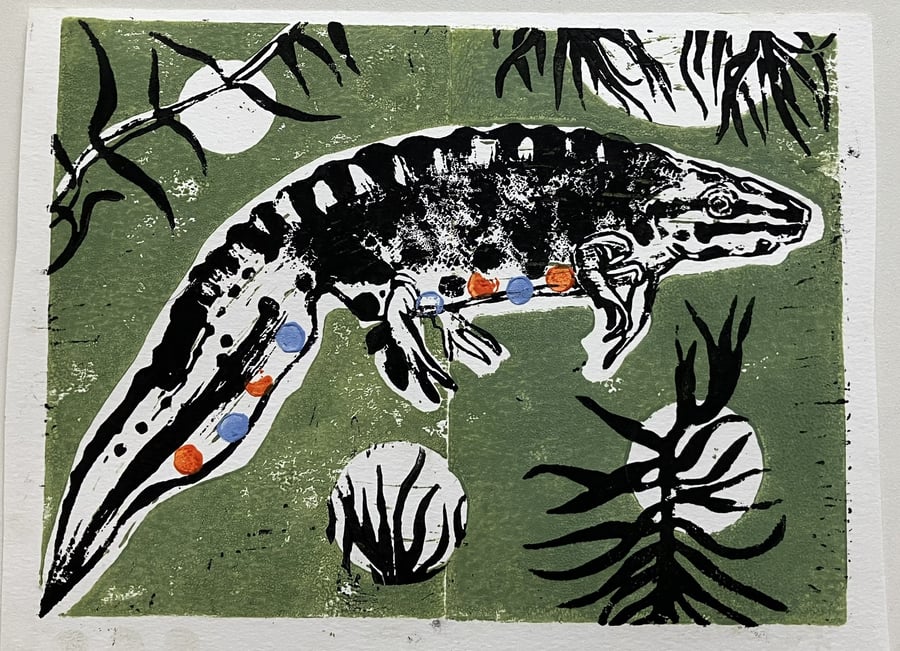 Funky newt