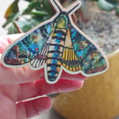 Death's Head Hawk Moth Brooch