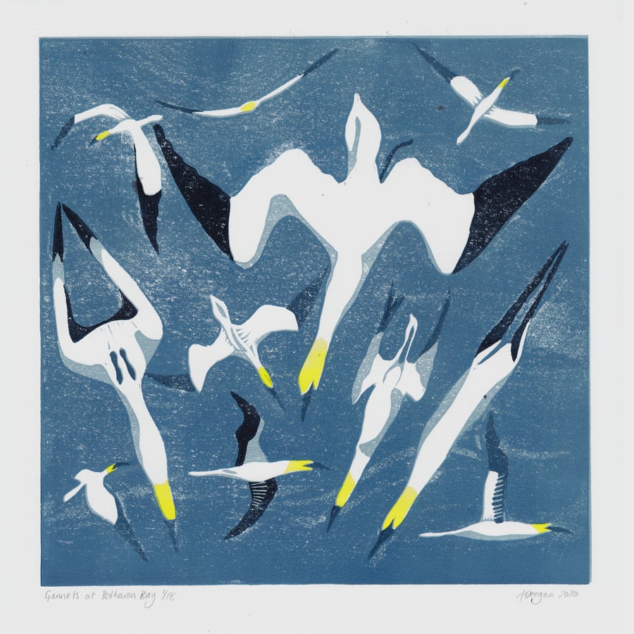 Original lino print Gannets at Belhaven Bay