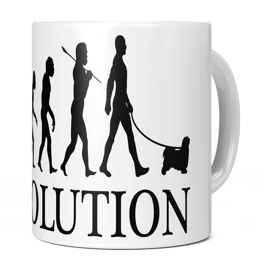 Tibetan Spaniel Evolution 11oz Coffee Mug Cup - Perfect Birthday Gift for Him or