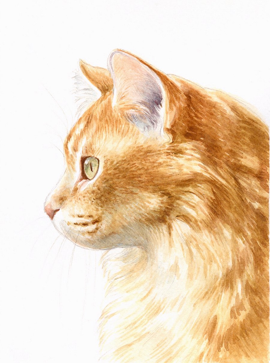 Custom Pet Portrait - 10 x 8 inches, watercolour