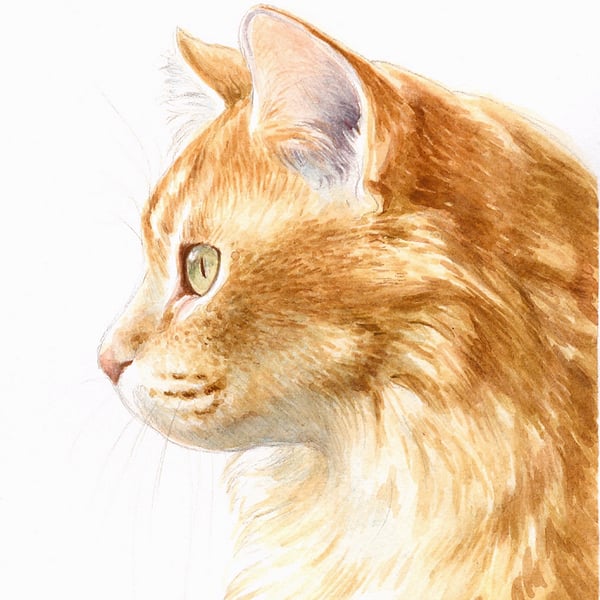 Custom Pet Portrait - 10 x 8 inches, watercolour