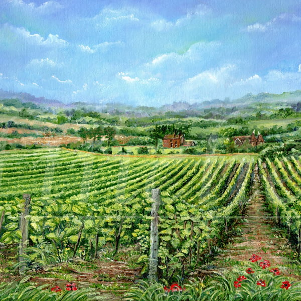 A Kentish Vineyard - Greeting Card