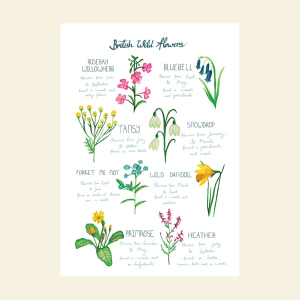 British wildflowers A4 print