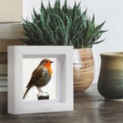 Robin, 3D fabric robin picture framed, gift, robin ornament