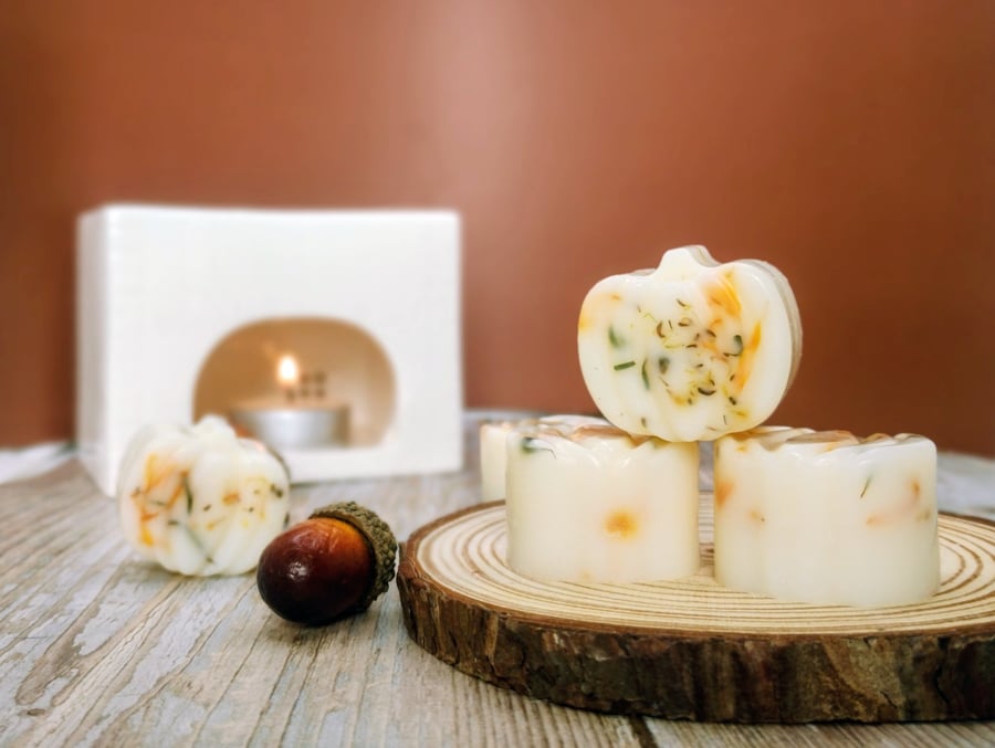 Pumpkin Spice Luxury Botanical Soy Wax Melts - Scented Wax Melts - Handmade