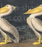 Pelican Lampshade Exotic Bird Print Lampshade Pelican Print - Image 7