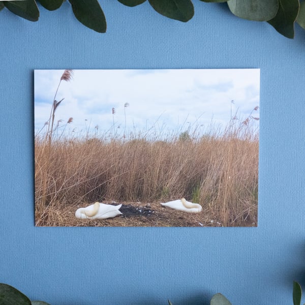 Symmetry Snooze, Suffolk - Blank Greetings Card & Envelope