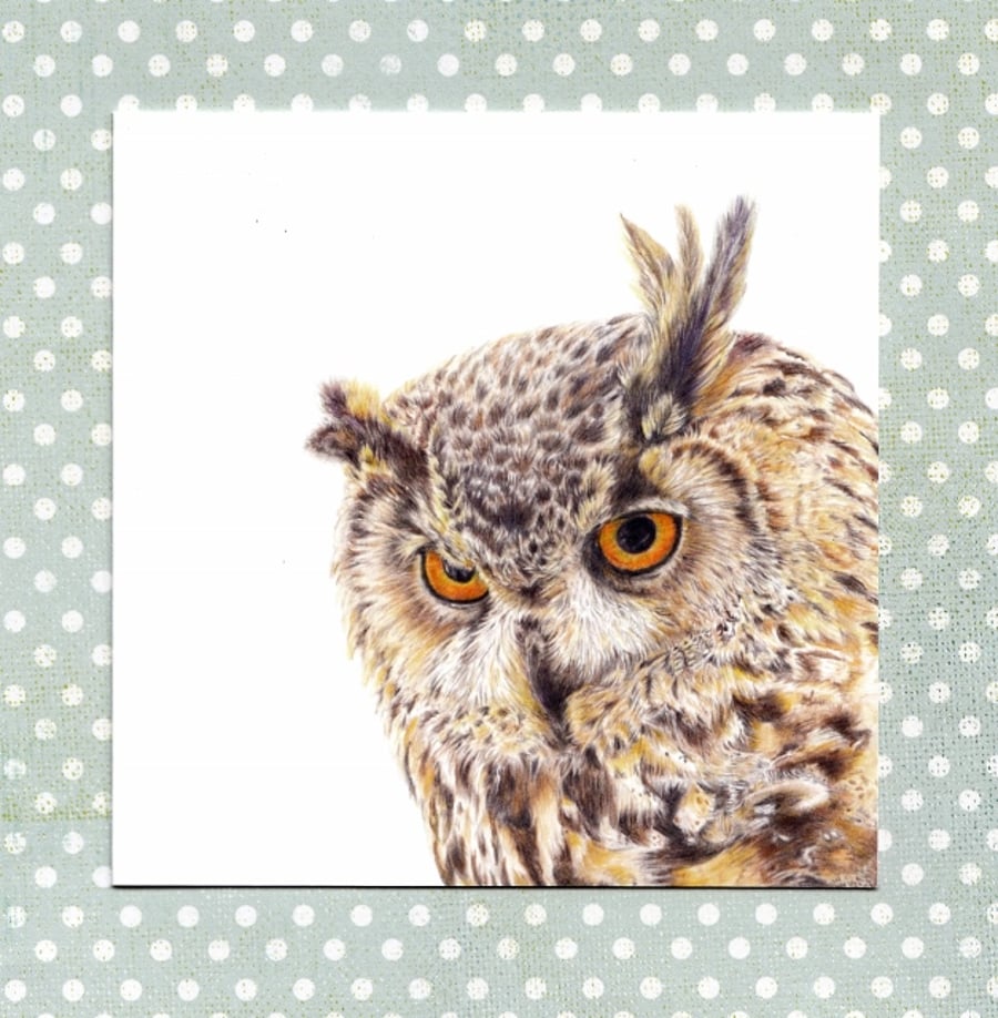 Owl Greetings Card, Eagle Owl