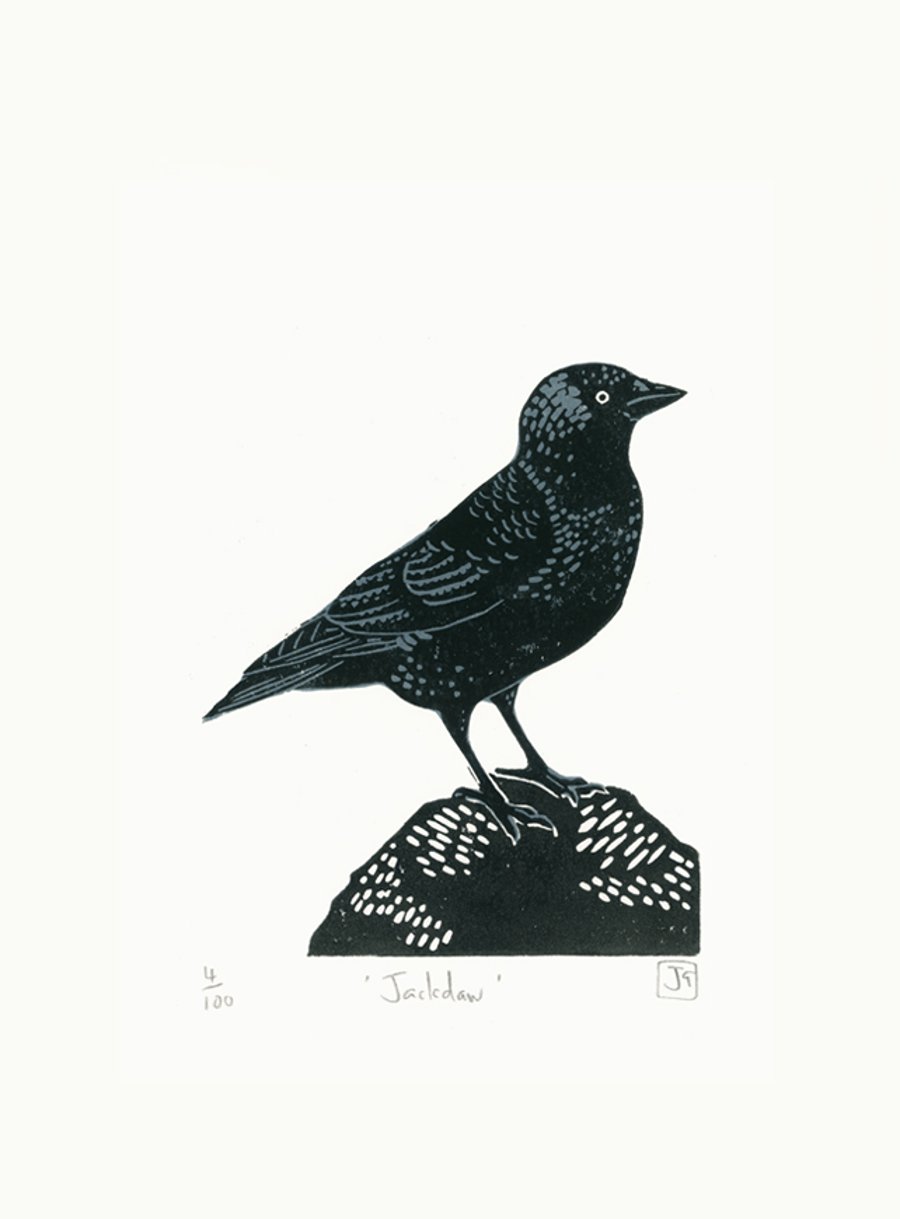 Jackdaw two-colour linocut print