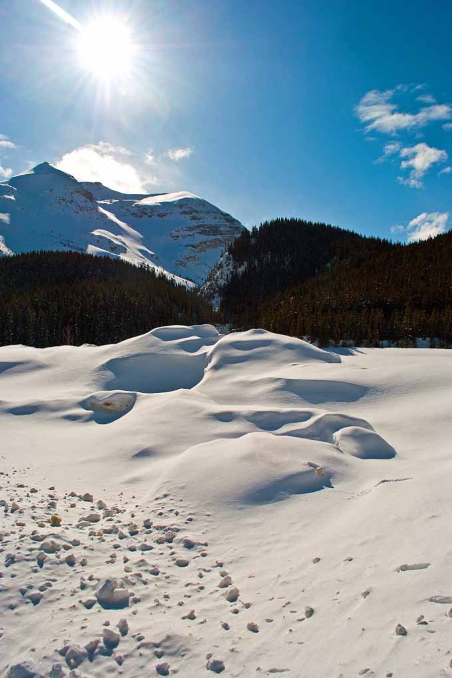 Canadian Rocky Mountains Icefields Parkway Canada Photograph Print