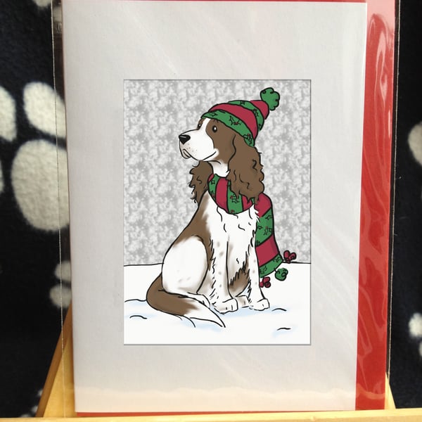 Springer Spaniel Christmas Card