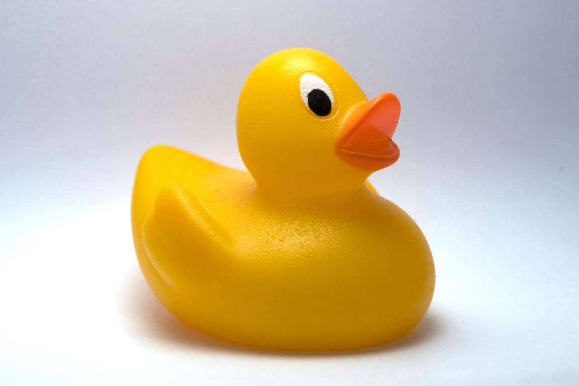 Yellow bath duck print