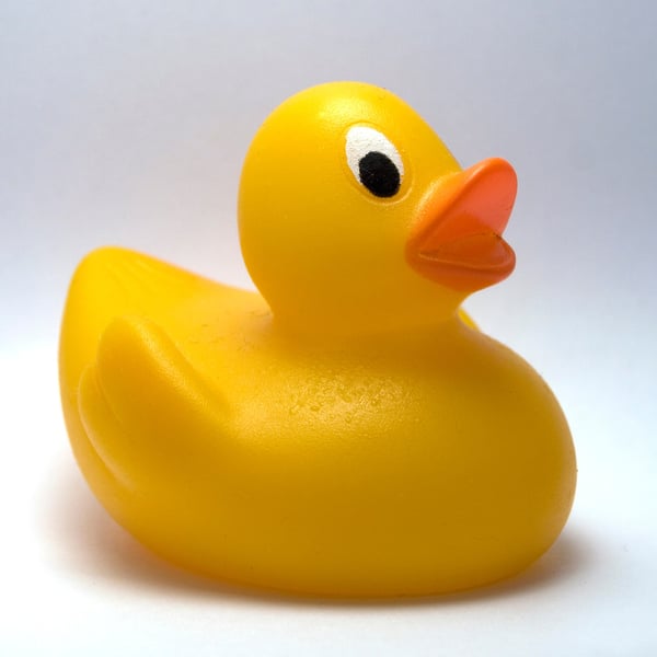 Yellow bath duck print