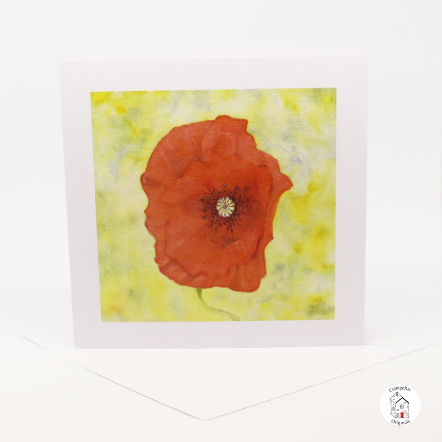 Red Poppy Greeting Card - Blank - Birthday Card