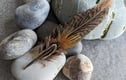 Feather hat trims/brooches