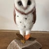 Owl on wood