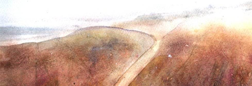 Carol Preston Designs