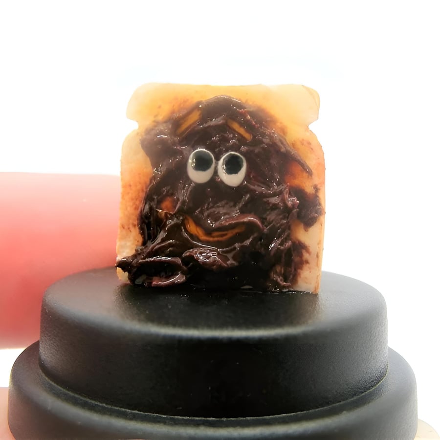 Pet Toast with Chocolate Spread