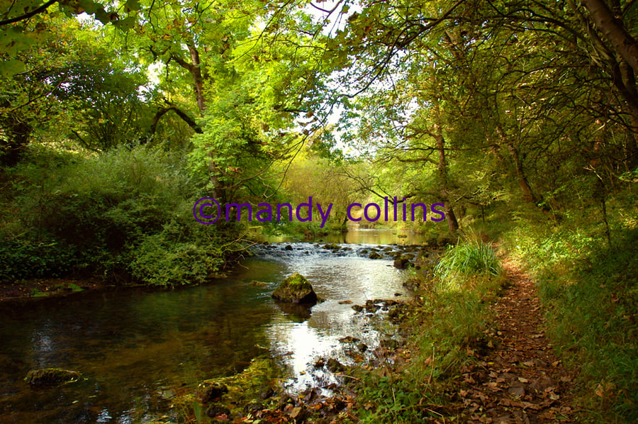 River Walk at Millers Dale, Derbyshire - A4 Archival Matte print