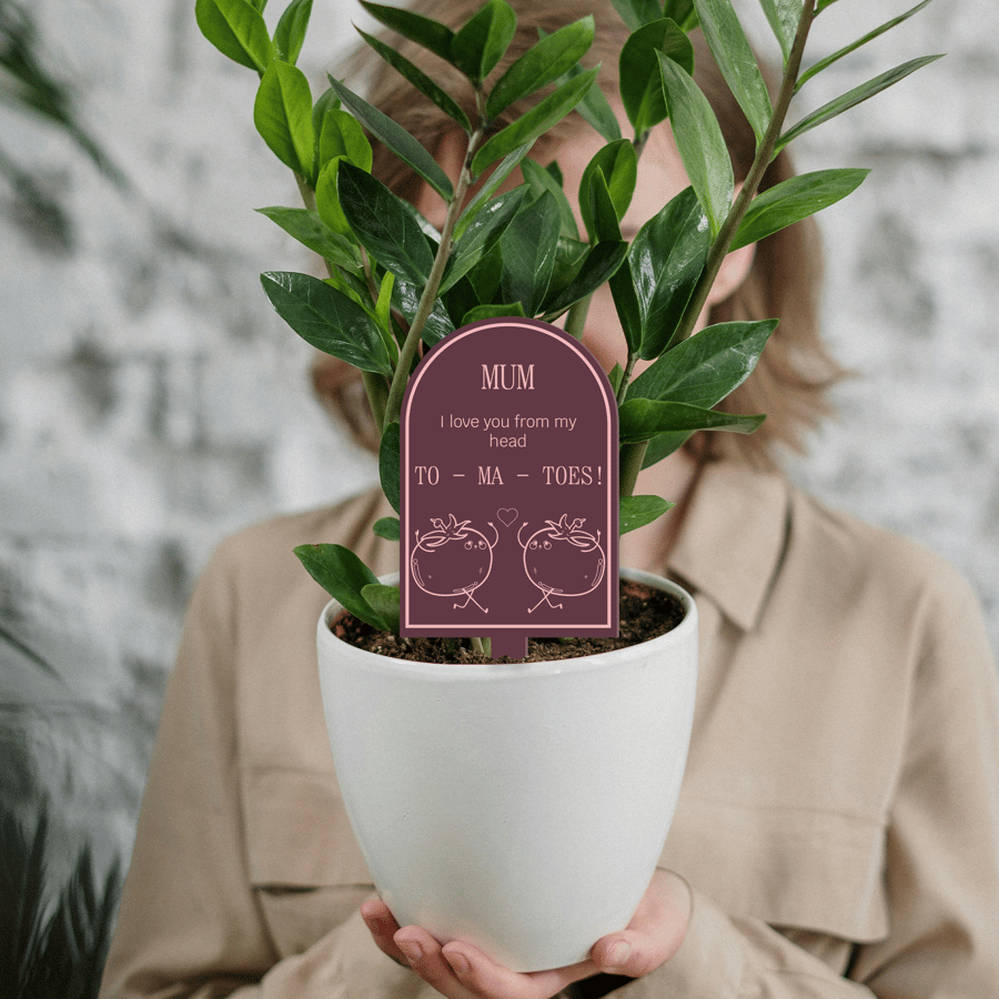 From My head To - Ma - Toes  Plant Tag: Fun Personalised Mother's Day Gift, Mum