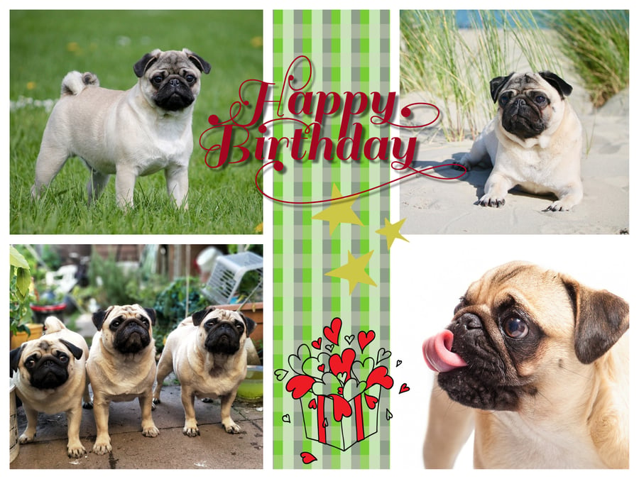 Happy Birthday Pug Dog Card A5 