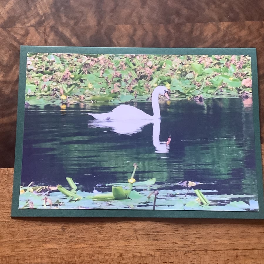 Handmade original photo card 'Swan Reflection'