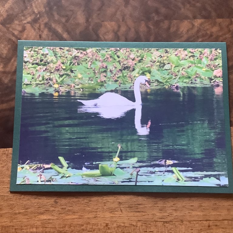 Handmade original photo card 'Swan Reflection'